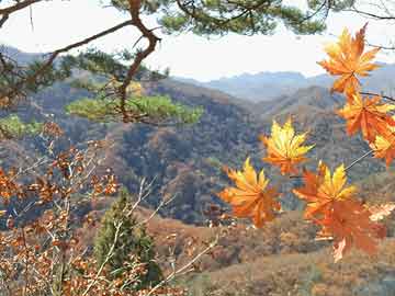 和嫂子同居的日子，最新章节揭秘