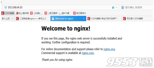 最新Nginx版本探索，性能优化与功能升级指南