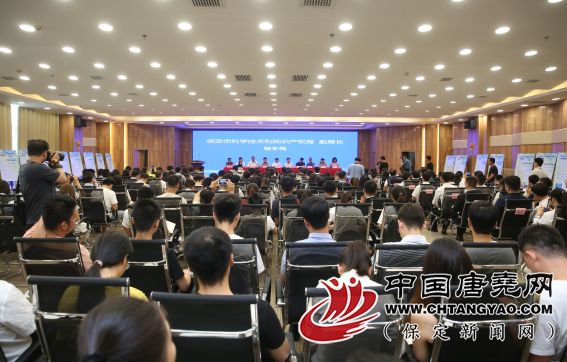 邕宁区人力资源和社会保障局最新项目助力区域人力资源高质量发展