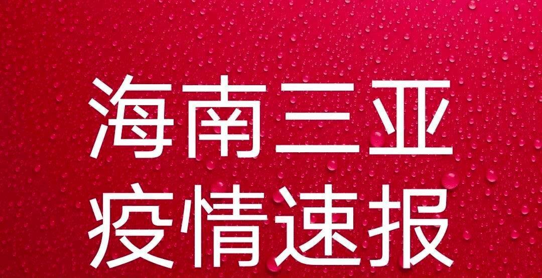 三亚最新疫情下的城市防控与民众生活平衡艺术探索