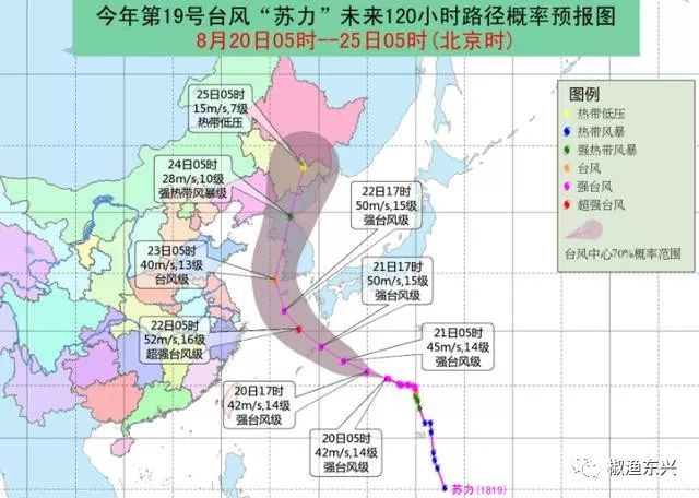 十六号台风最新动态分析，动向、影响及预报报告