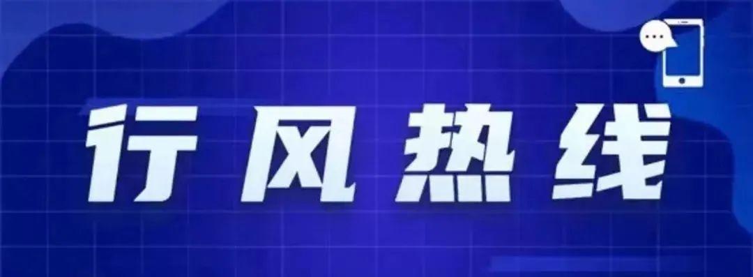 沙市区人力资源和社会保障局最新项目概览与动态