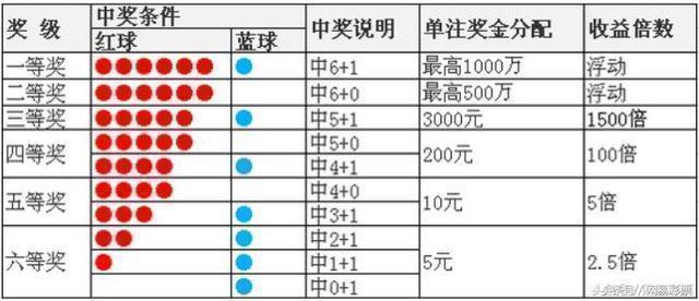 2024年12月5日 第13页