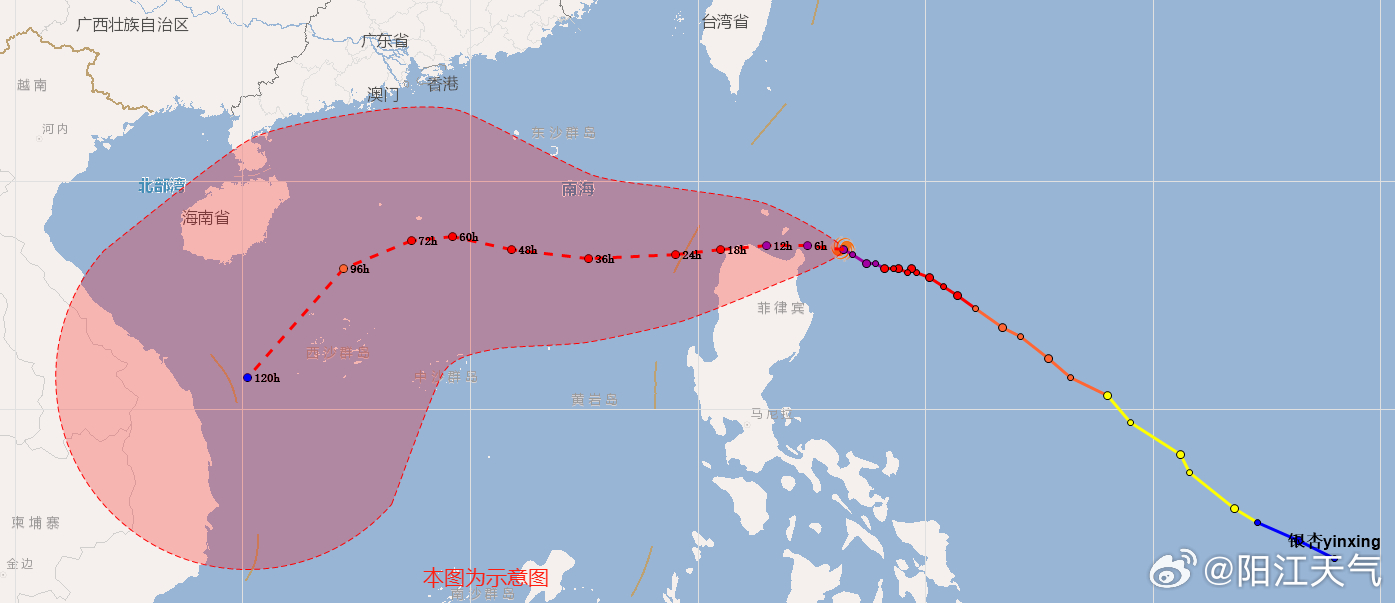 2024年12月5日 第9页