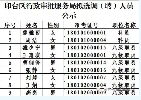 印台区交通运输局最新招聘公告详解