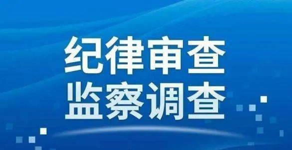 邵阳县科技工信局最新项目进展及其影响概述