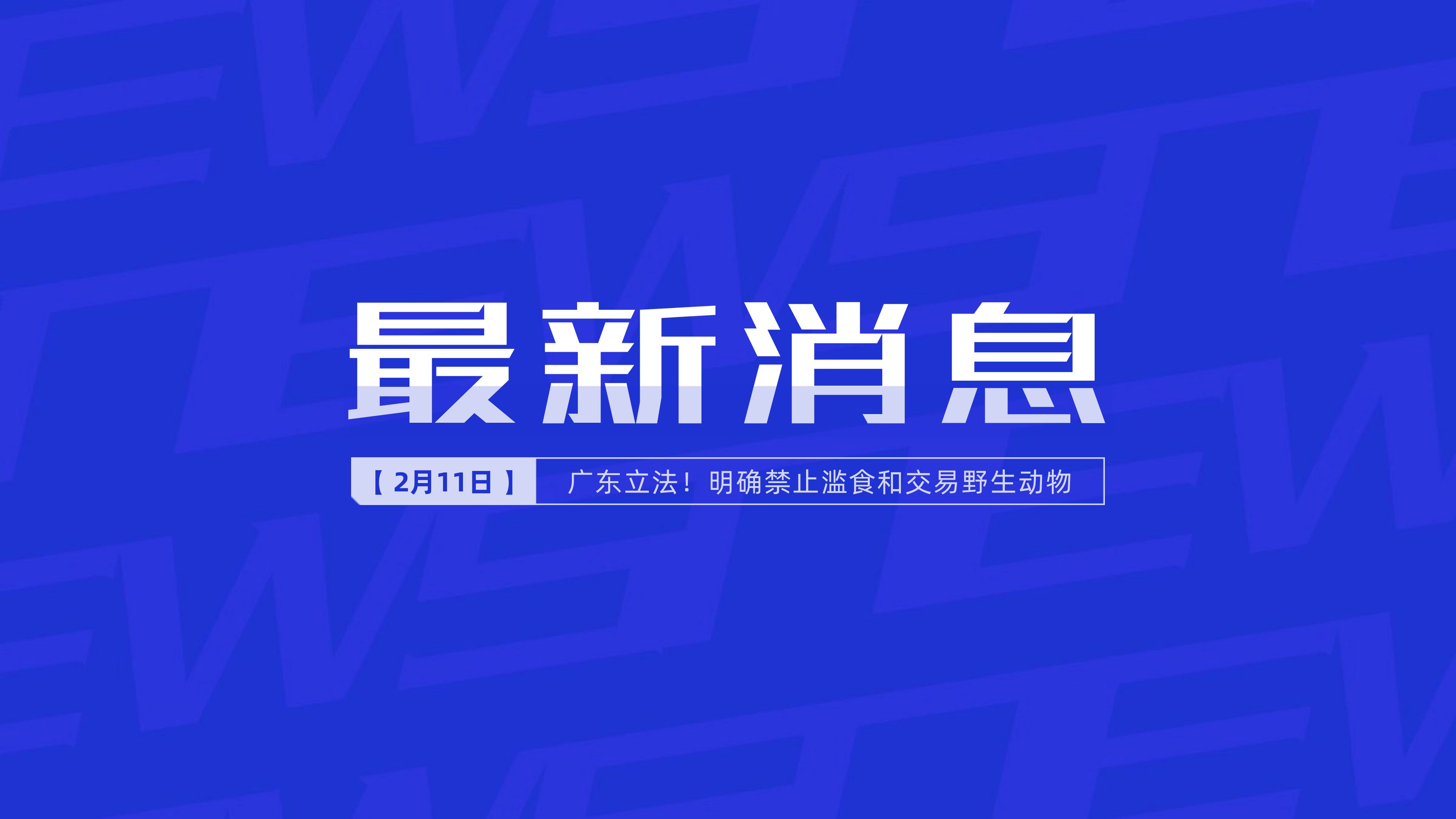 全球科技、经济与社会变革五大热点话题最新报道揭秘